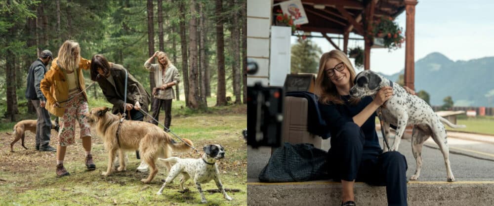 Filmfotos: Links die Hund-Mensch-Teams im Wald, rechts "Ursula" mit "Dotty" am Bahnhof
