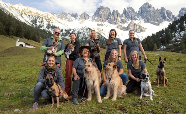 Das Team der Filmtierranch mit einigen der Hunden, die in Eat Pray Bark mitspielen.