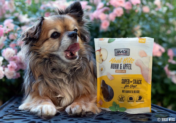 Kleiner Hund liegt neben MAC’s Snackbeutel „Meat Bits Huhn & Apfel“, rosa Rosen im Hintergrund.