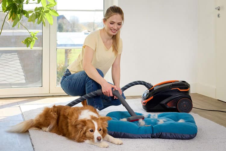 Frau saugt Hundehaare von blauem Hundekissen, Hund liegt daneben.