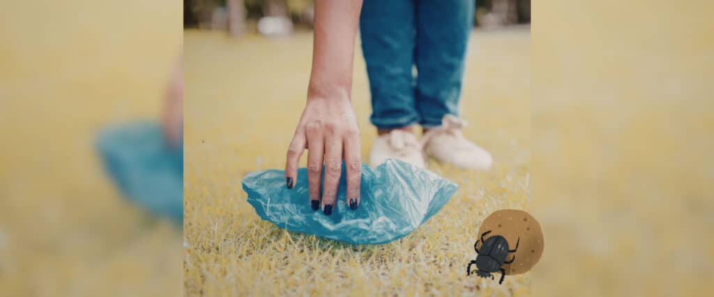 Hand greift nach blauem Kotbeutel auf der Wiese, unten rechts Illustration eines Mistkäfers mit Kotballen