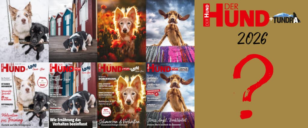 Collage: Gewinner-Hundefotos DER HUND-Cover Contest, daneben ein Platz für 2026.