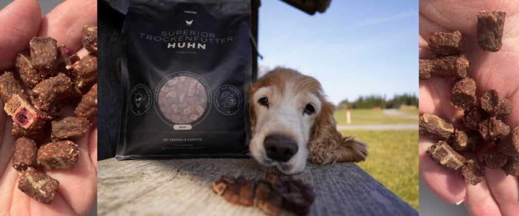 Collage: Seniorhund liegt vor Escapure-Trockenfutterbeutel, links und rechts Hände mit Futterstücken.