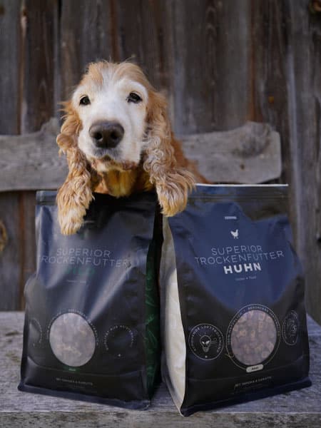 Seniorhund sitzt auf einer Bank zwischen zwei großen Beuteln Escapure-Superior-Trockenfutter.