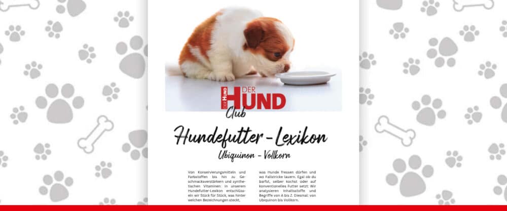 Titelgrafik „DER HUND Club Hundefutter-Lexikon“ mit Welpe vor Napf auf Pfotenmuster-Hintergrund.