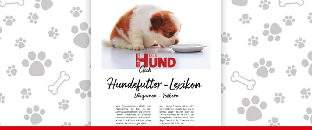 Titelgrafik „DER HUND Club Hundefutter-Lexikon“ mit Welpe vor Napf auf Pfotenmuster-Hintergrund.