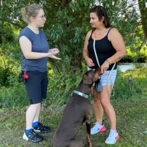 Online-Kurs Train the Trainer – „Wie sage ich es meinem Kunden?“