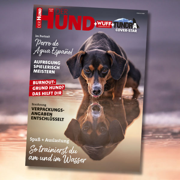 Aktuelle Ausgabe DER HUND