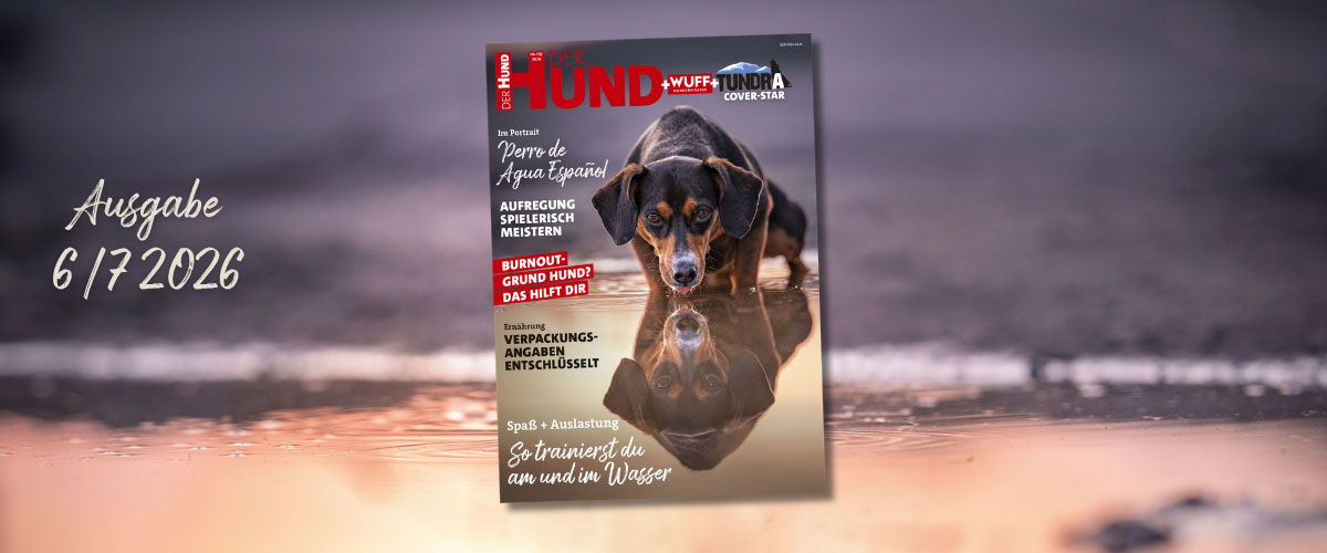 Cover der DER HUND Ausgabe 6/7 2026 mit Hund im Wasser und Themen zu Training, Ernährung und Verhalten