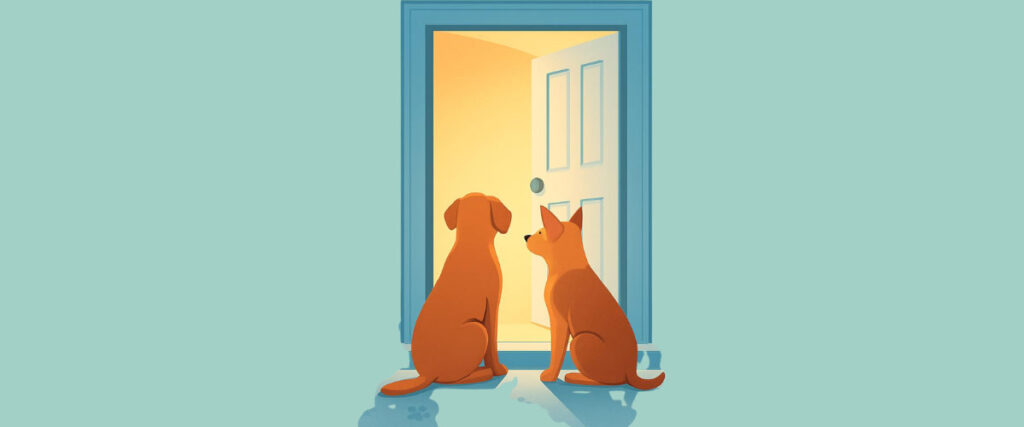 Zwei Hunde sitzen vor einer geöffneten Tür mit warmem Licht und schauen hinein.