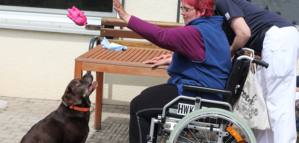 Person im Rollstuhl wirft einem freudig wartenden Hund ein pinkes Spielzeug zu, Pfleger unterstützt im Hintergrund.