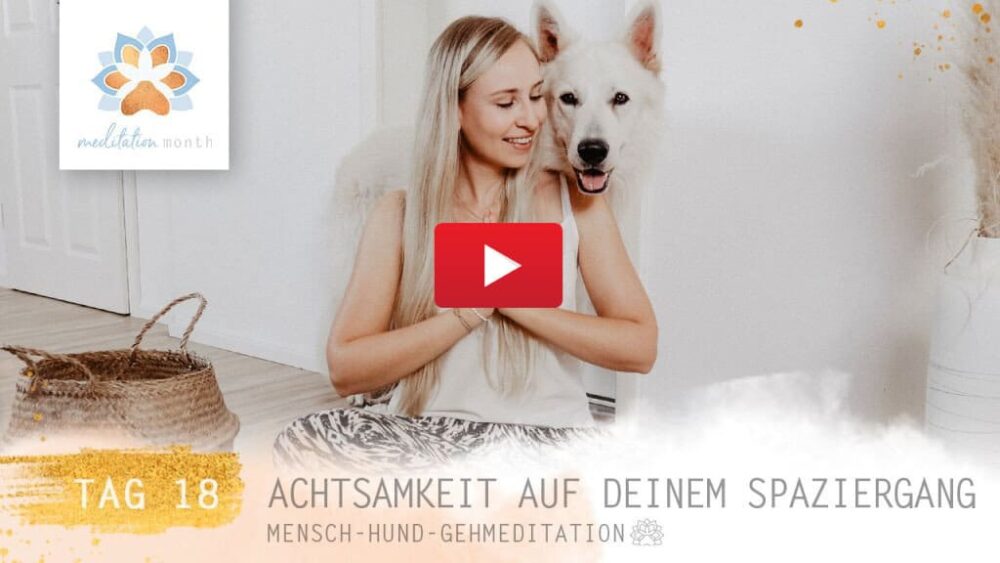 Frau mit langen blonden Haaren sitzt auf Boden in Wohnung, stehender weißer Schäferhund schaut über ihre Schulter