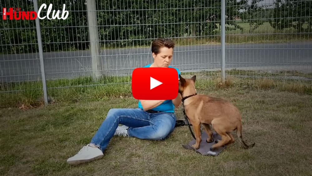 Raphaela Niewerth sitzt neben einem jungen Schäferhund, der mit seinen Pfoten auf einer kleinen Decke steht.