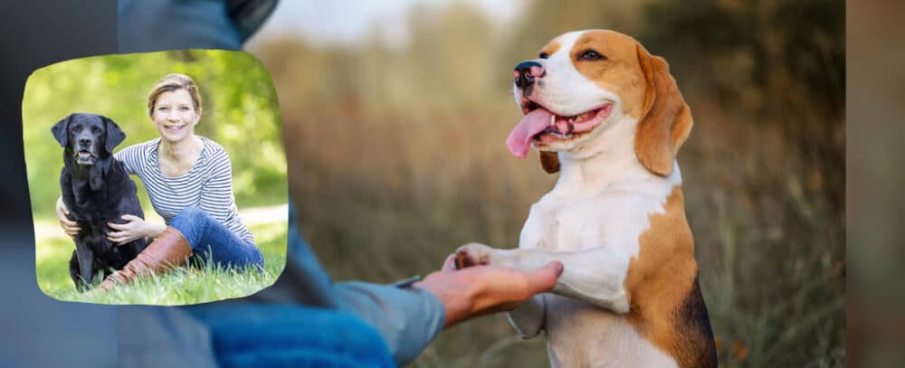 Beagle hat die Vorderpfoten auf die Handfläche einer Person gelegt. Links ein Foto von Kristina Ziemer-Falke mit schwarzem Hund im Grünen.