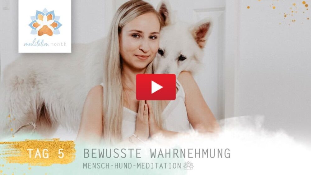 Sitzende Frau mit langen blonden Haaren, weißer Schäferhund steht und legt Kopf auf ihre Schulter
