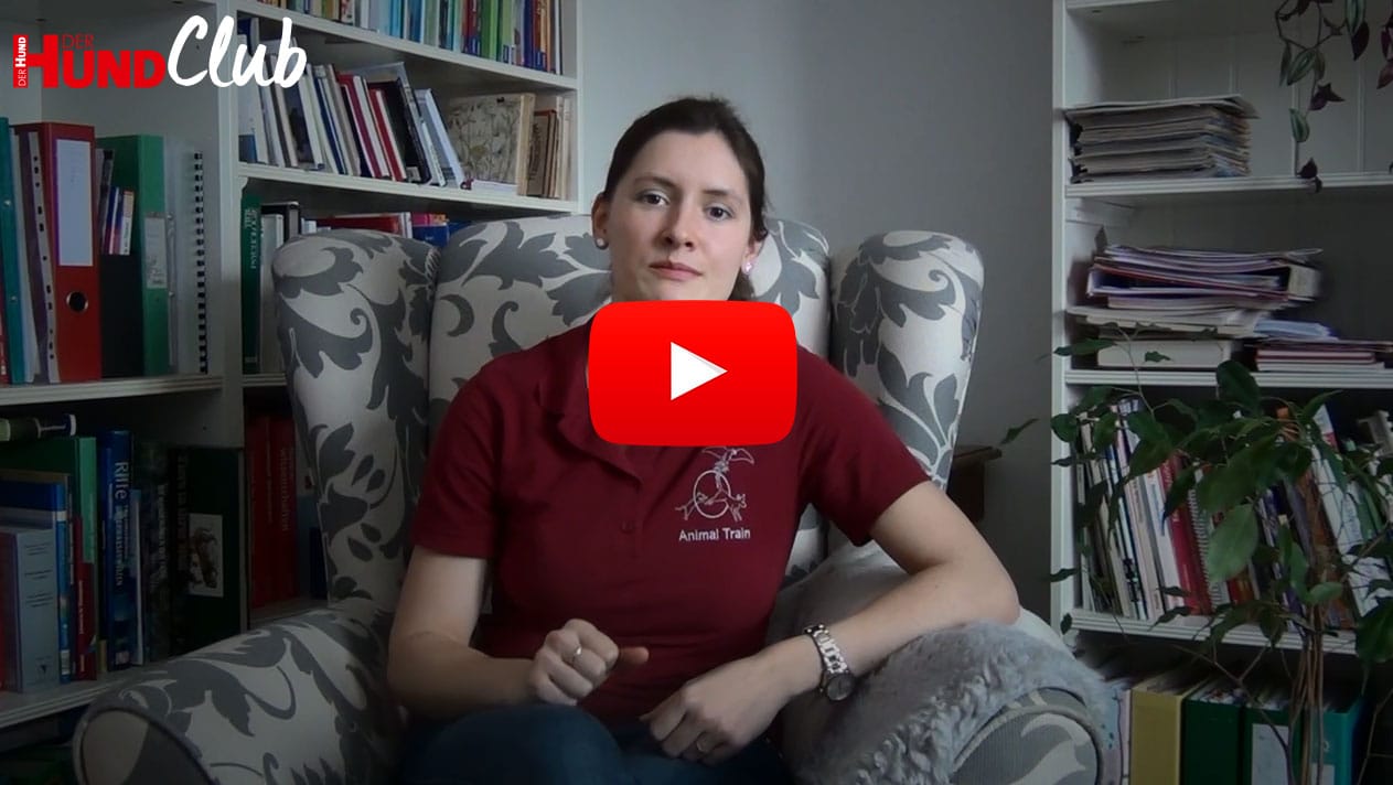 Sarah Unterberger sitzt vor Bücherregalen auf einem Sessel und erklärt etwas.