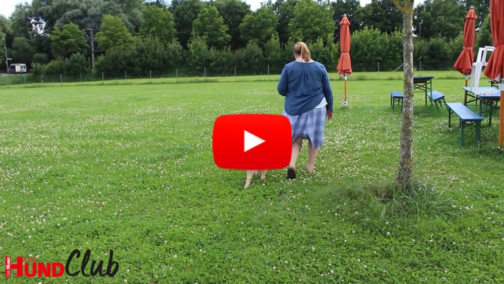 Nadine Dapra geht mit einem Hund über eine grüne Wiese auf einem eingezäunten Platz.