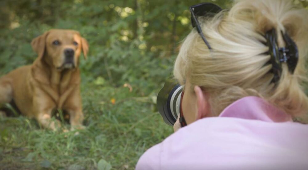 Regine Heuser fotografiert einen liegenden Labrador. Das Bild ist über ihre linke Schulter aufgenommen.