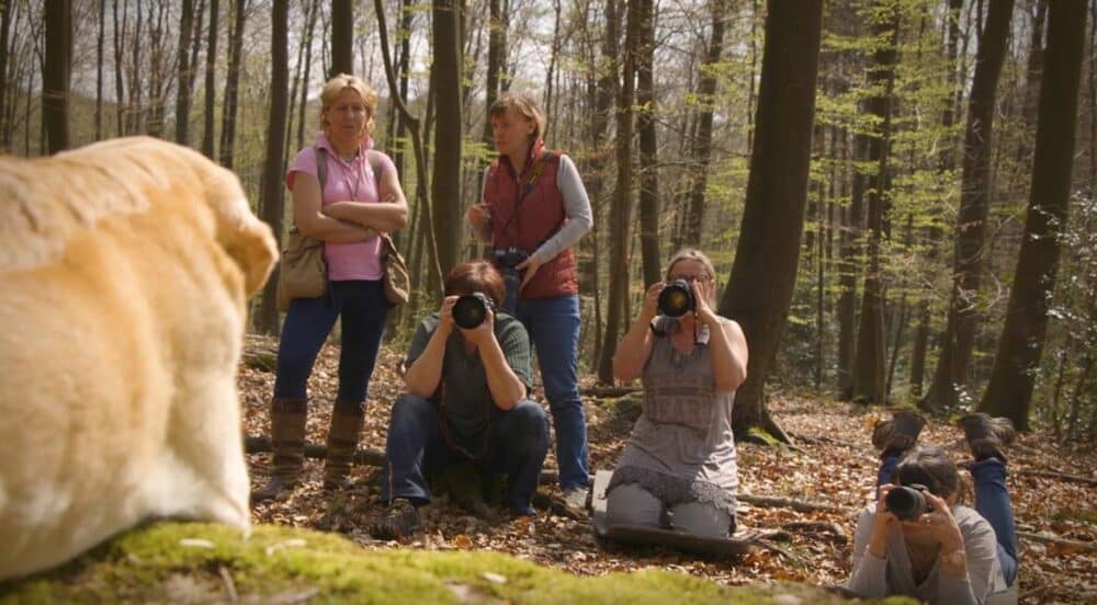 Mehrere Personen mit Kameras üben, einen Hund zu fotografieren. Vom Hund ist nur ein Teil links am Bildrand sichtbar.