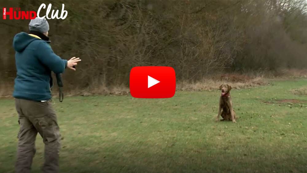Holger Schüler mit Rücken zu Kamera in Kommunikation mit seinem Hund, der wenige Meter entfernt sitzt.