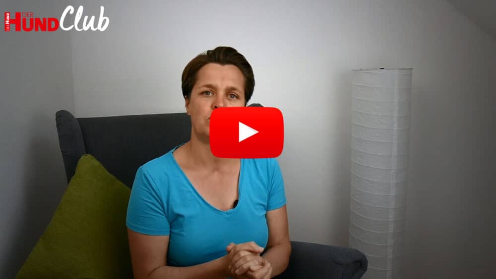 Raphaela Niewerth (in blauem T-Shirt) sitzt auf einem grauen Sessel und erklärt etwas.