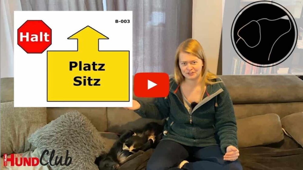 Nina Stockerl sitzt mit einem Hund auf einem Sofa und erklärt etwas zu Rally Obedience