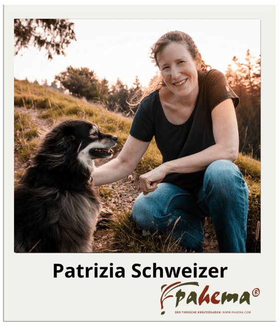 Webtalk-Patrizia-Schweizer-1