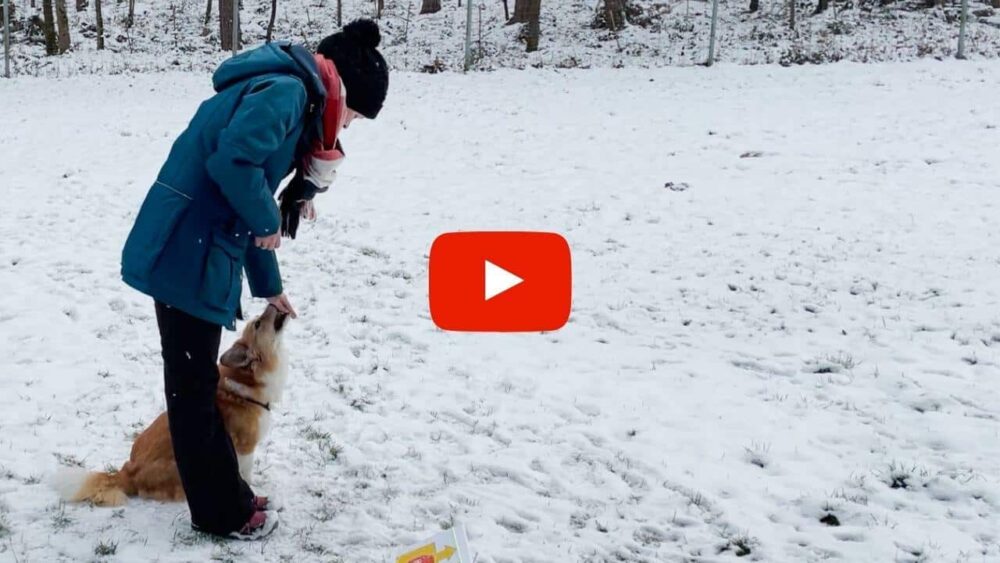 Stehende Frau und sitzender Hund im Schnee. Die Hand der Frau ist bei der Nase des nach oben schauenden Hundes.