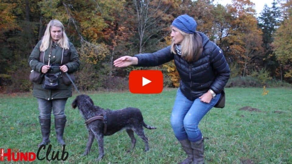 Simone Hahn steht mit leicht gebeugten Knien und ausgestrecktem rechten Arm neben einer Frau, die ihren Hund an der Leine hält.