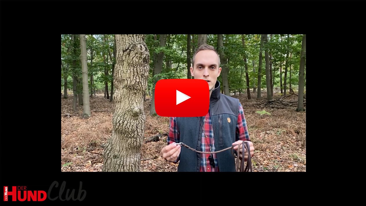 Florian Sernetz steht im Wald und hält eine Lederleine in den Händen.