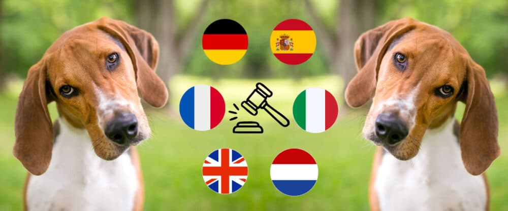 Zweimal ein Hund, 6 europäische Flaggen und Richterhammer vor grünem Hintergrund.