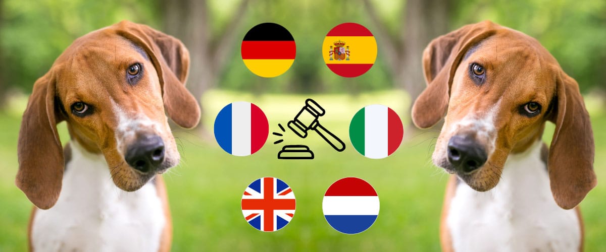 Zweimal ein Hund, 6 europäische Flaggen und Richterhammer vor grünem Hintergrund.