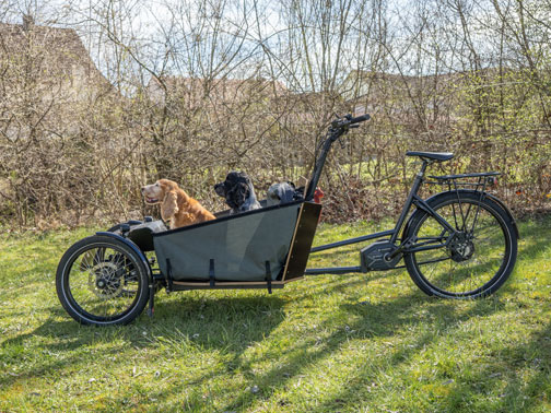 Geparktes Lastenrad, seitlich: 2 Spaniels in Box schauen nach vorn