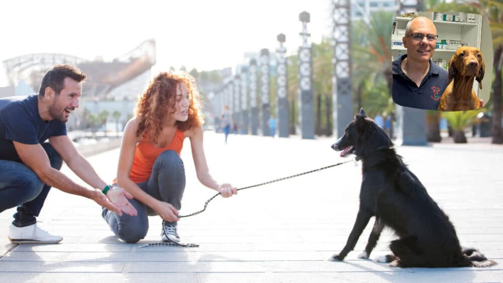 Mann und Frau versuchen, angeleinten, sitzenden Hund, zum Aufstehen zu bringen. Kleines Bild oben rechts: Pasquale Piturru