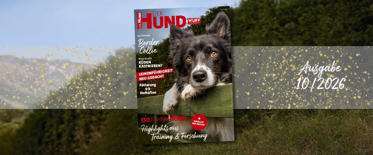 Das Cover von DER HUND 10/26 mit einem Border Collie, vor Hintergrund mit Wald und blauem Himmel.