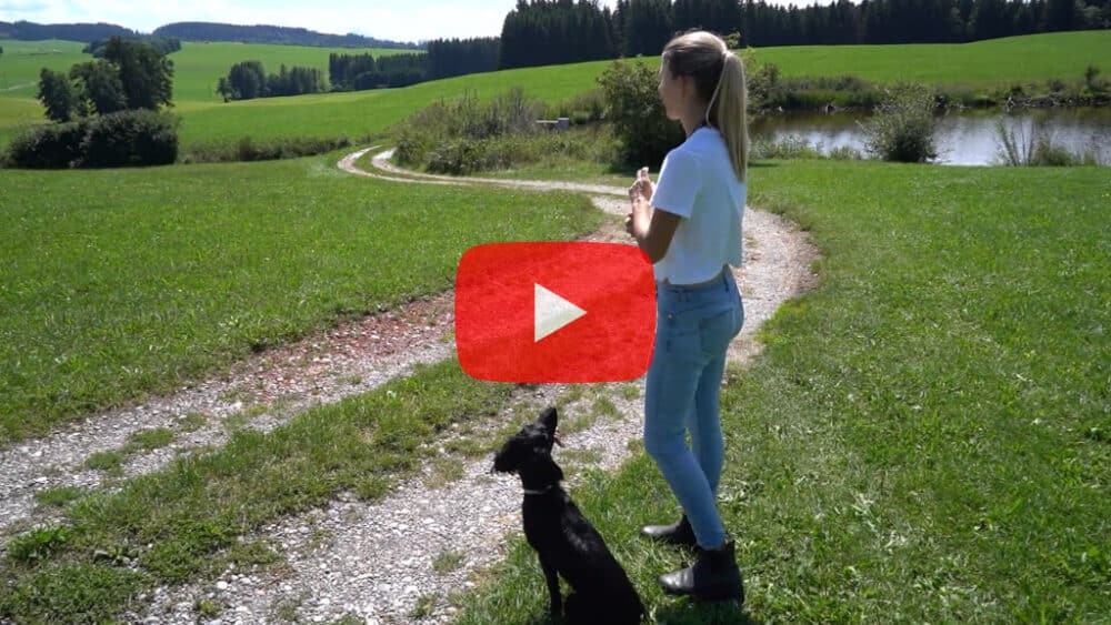 Redakteurin und Hundetrainerin Veronika Rothe mit Spaniel Pocket auf grüner Wiese