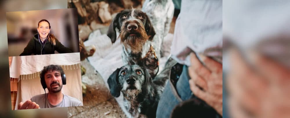 2 Hunde blicken zu Person auf, ergänzt durch ein Videofenster, das Vroni Rothe und Michael Stähler zeigt.