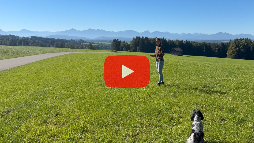 Veronika Rothe steht auf einer Wiese, Bäume & Berge im Hintergrund. In der Nähe sitzt Spaniel Hamlet und schaut zu ihr.