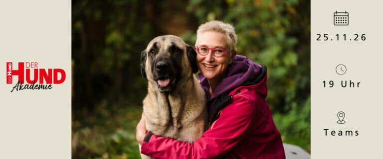 Webtalk mit Hundetrainerin Mirjam Cordt über Herdenschutzhunde am 25.11.26, Start 19 Uhr, via Teams.